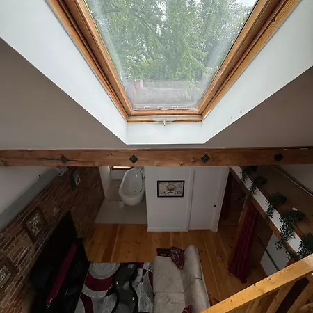Spacious Townhouse Close To Dundas Square!